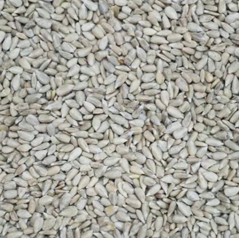 Standard Wild Bird Bundle