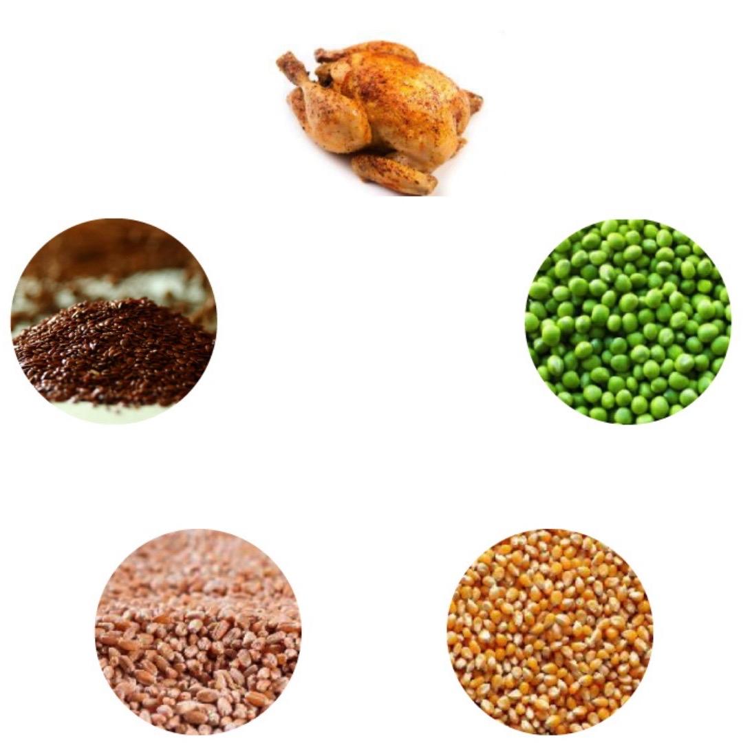 15KG Dr John Gold Chicken with Veg Dog Food - Discounted Stock