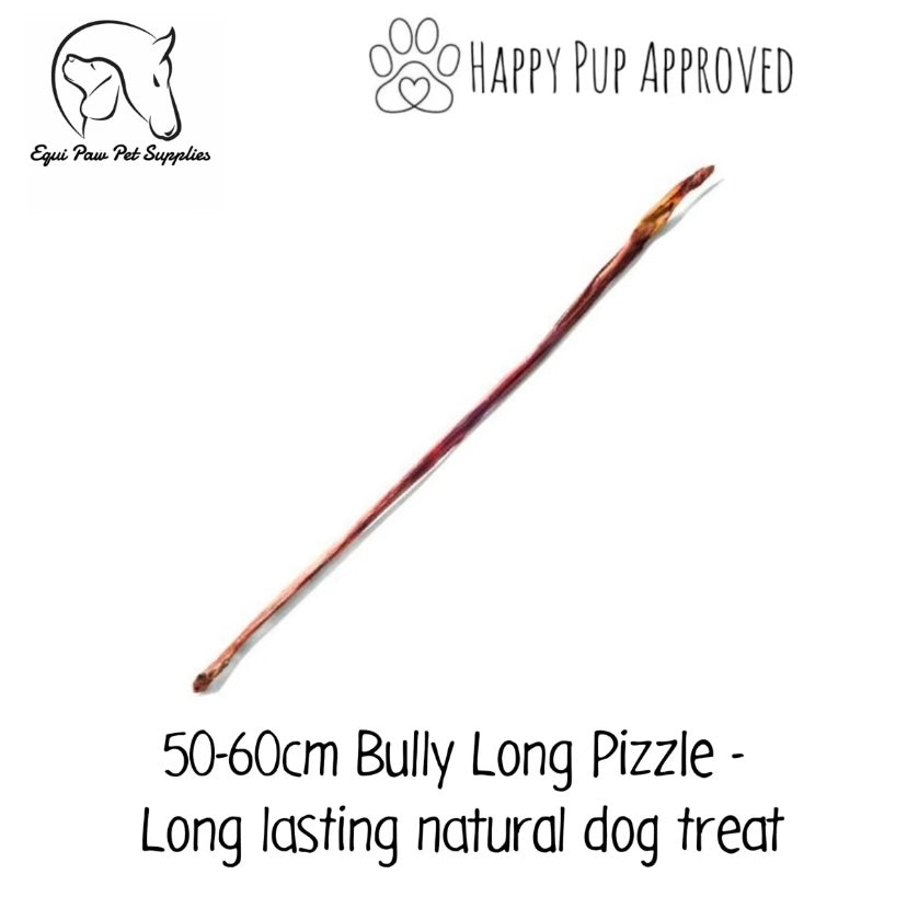 50-60cm Bully Pizzle