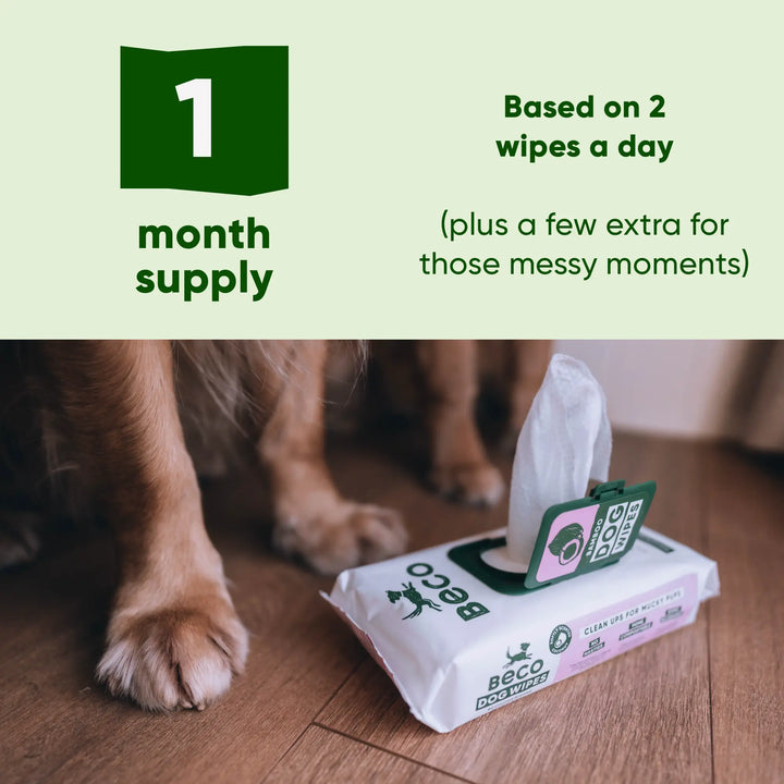 BECO Bamboo Dog Wipes