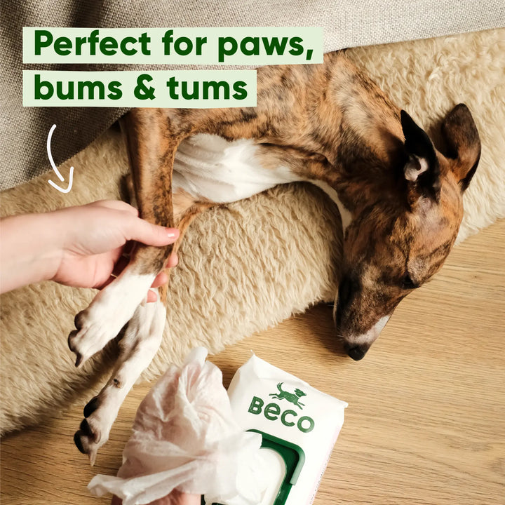 BECO Bamboo Dog Wipes