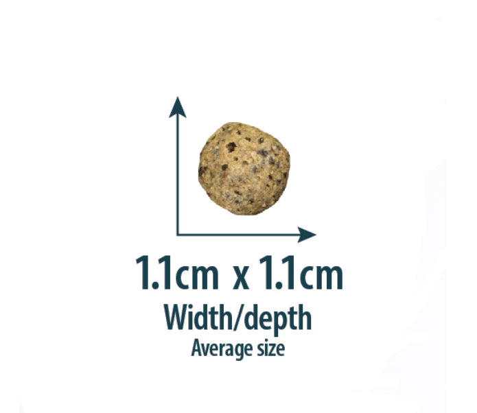 12KG Burns Sensitive Grain Free Turkey & Potato Dog Food - Discounted Stock