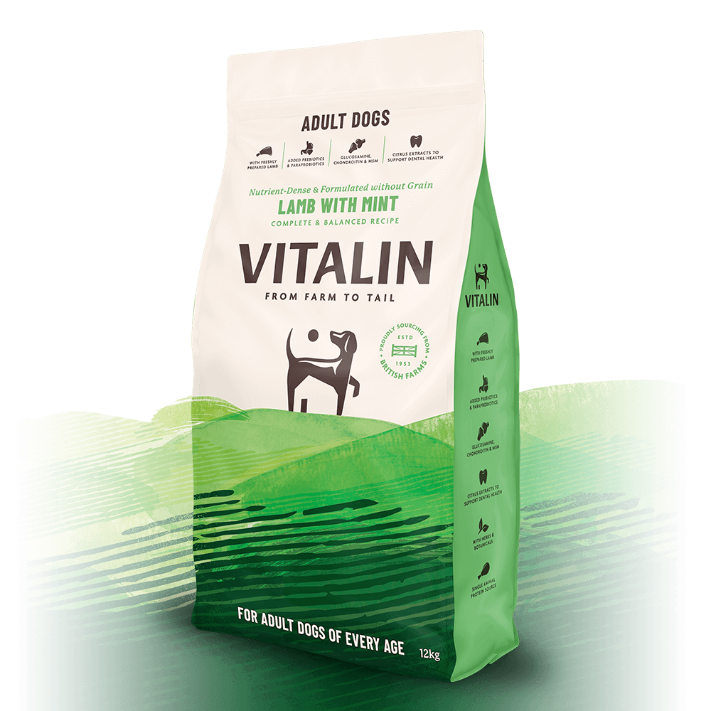 12KG Vitalin Lamb with Mint Adult Dog Food - Discounted Stock