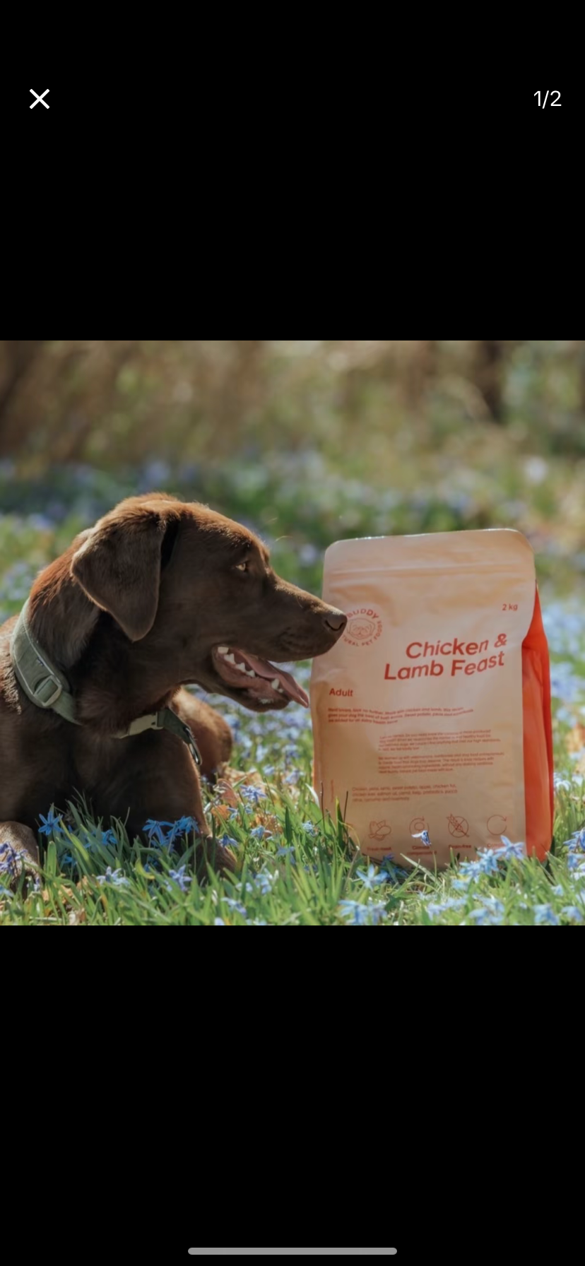 RRP £41.99 5kg Buddy Chicken & Lamb Feast Adult dog food Dated Sept 2024