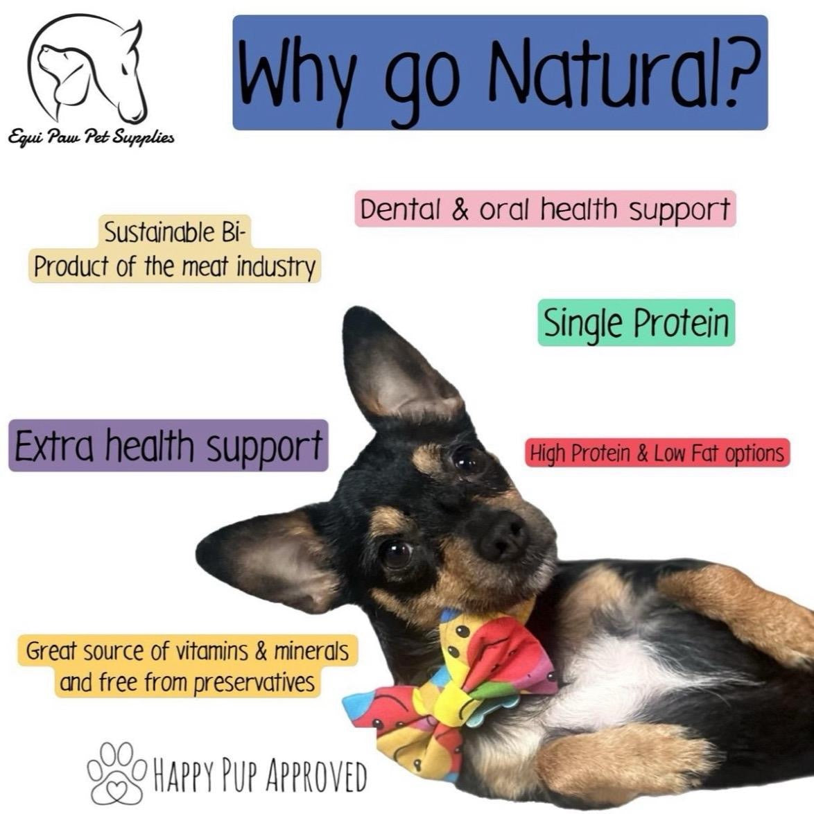 Budget Chew Buster Bundle