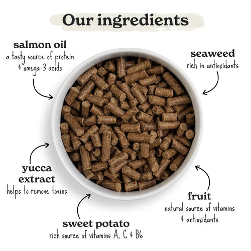 6KG Forthglade Salmon with Sweet Potato Dog Food - Discounted Stock