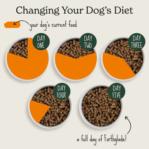 6KG Forthglade Salmon with Sweet Potato Dog Food - Discounted Stock