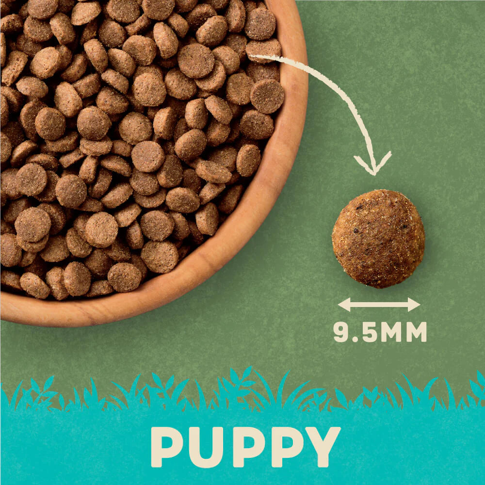 10KG Harringtons Puppy Salmon & Rice Dog Food - Discounted Stock