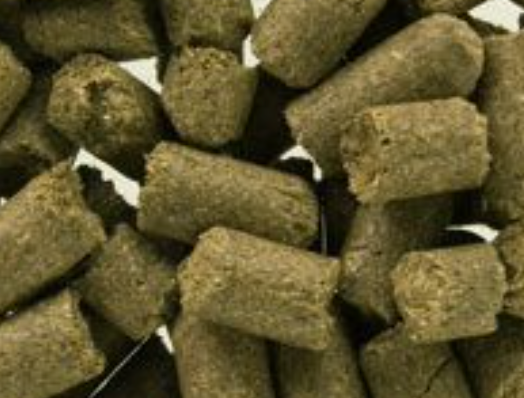 5KG Baileys Tasty Horse Treats
