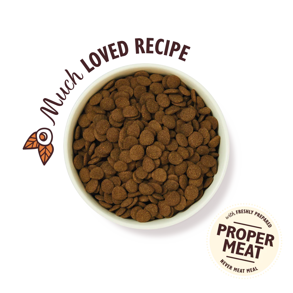 12KG Lilys Kitchen Countryside Casserole - Discounted Stock