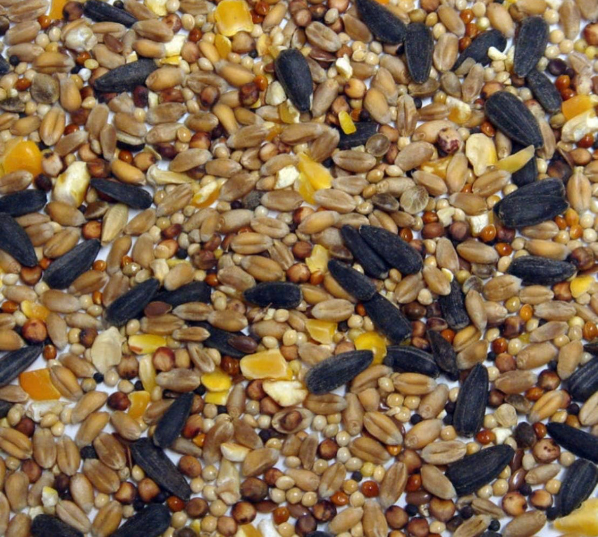 3kg Wild Bird Seed