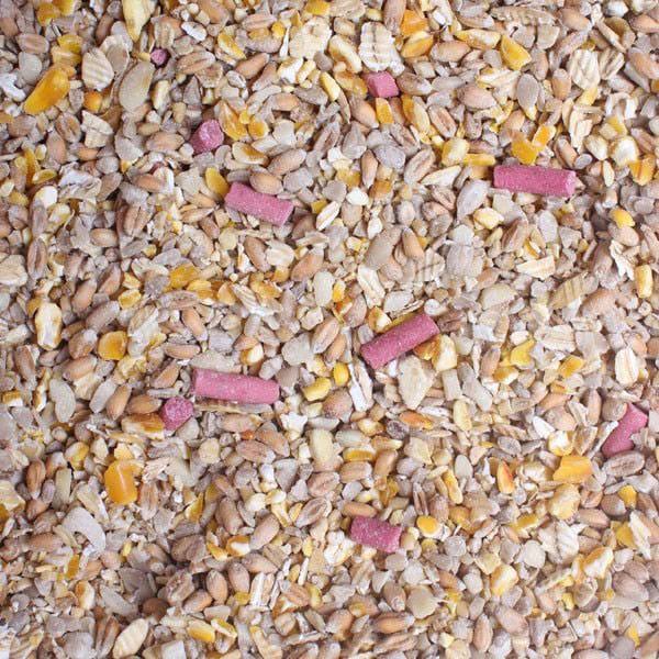 3kg Premium Wild Bird Seed