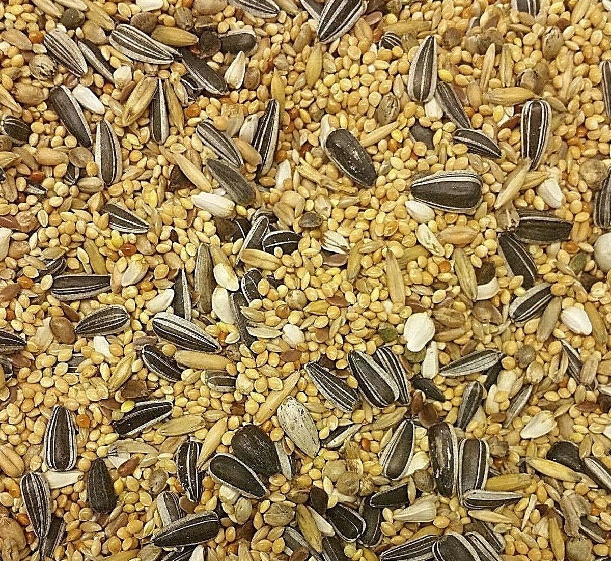 20KG Bestpets Exotic Bird Mix