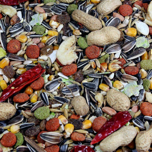 Tropical Parrot Food