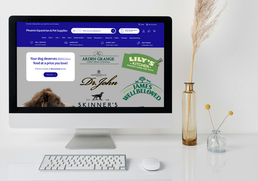 🎉 Sneak Peak At Our New Website!