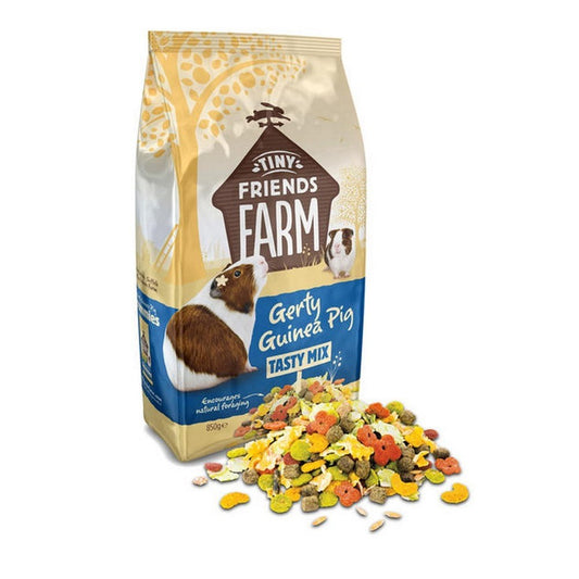 850g Gerty Guinea Pig Tasty Mix - Discounted Stock