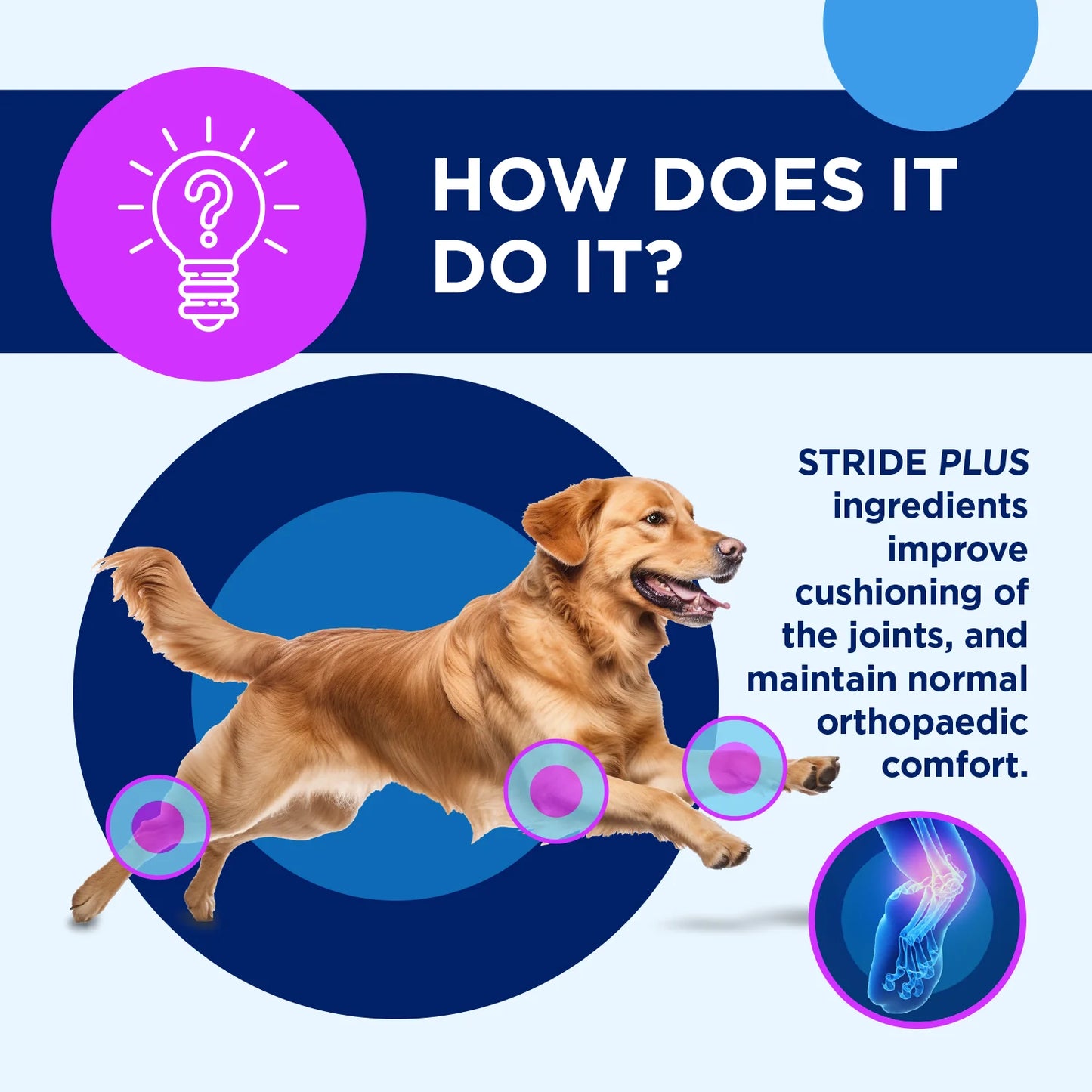 TRM Stride Plus
