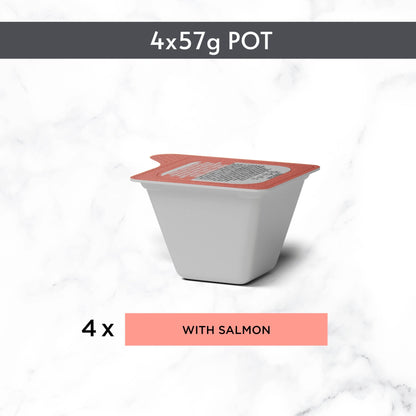 Purina Gourmet Revelations Fine Cuts in Jelly Salmon 4x57g