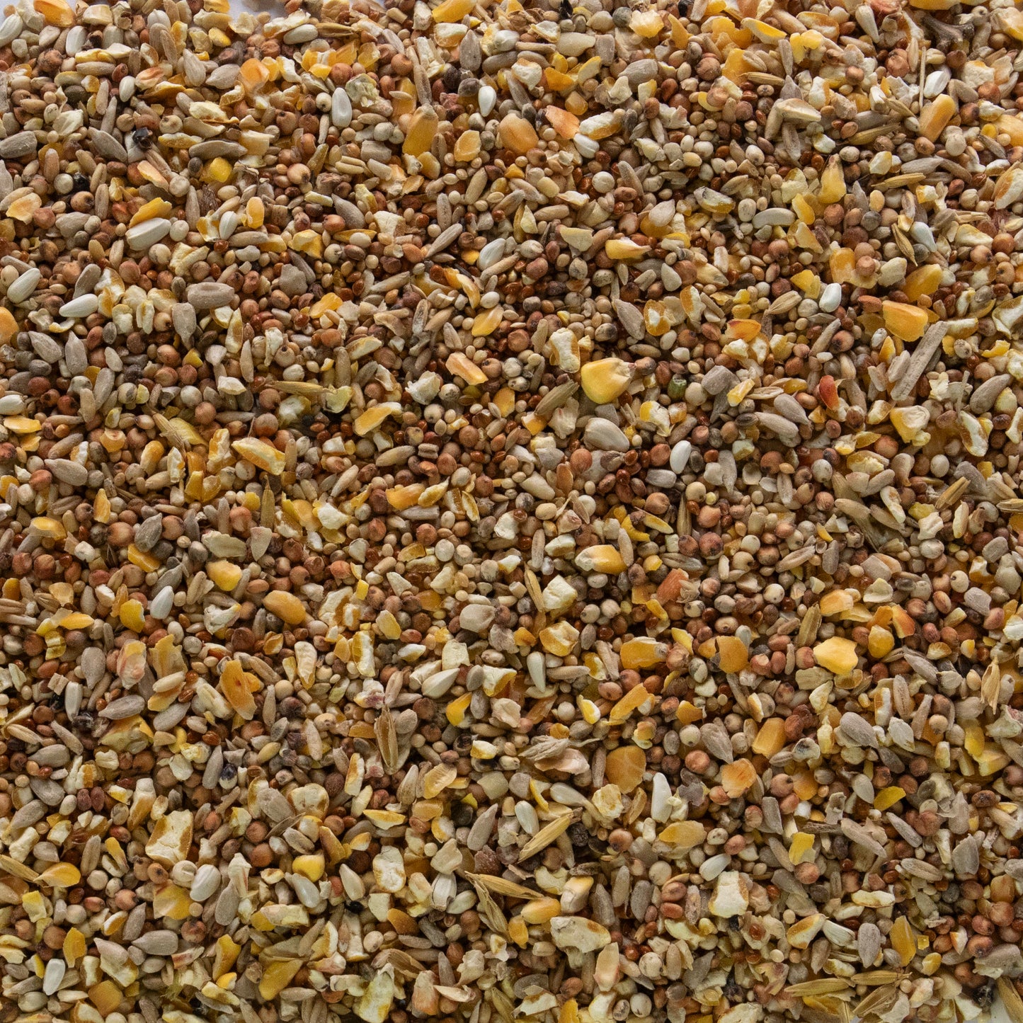 3KG Premium Wild Bird Seed