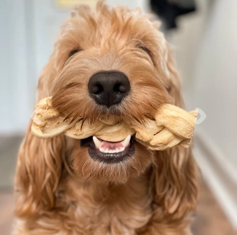 Anco Naturals Buffalo Braids Medium - Iron rich dental dog chew