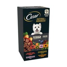 Cesar Terrine Grain Free with Superfoods 8x100g - Discounted Stock (BBD Nov 25)
