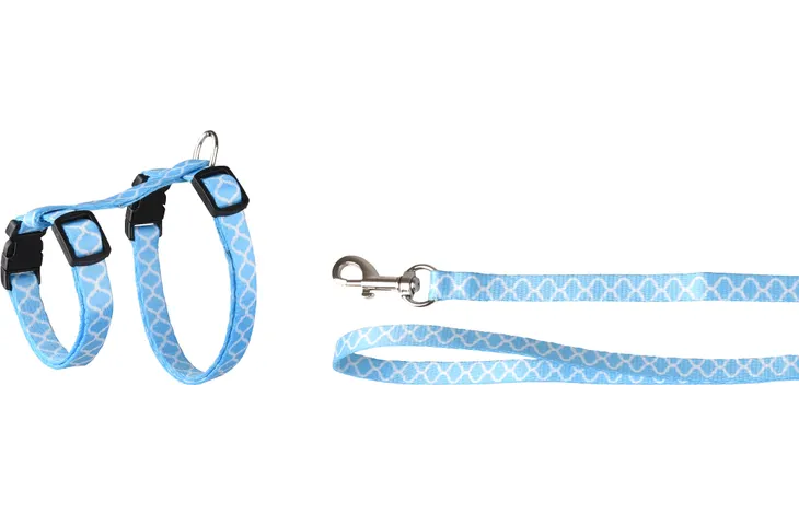 Flamingo Harness & Leash For Kittens