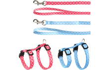 Flamingo Harness & Leash For Kittens