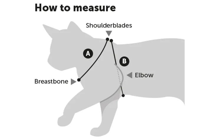 Flamingo Harness & Leash For Kittens