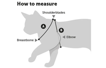 Flamingo Harness & Leash For Kittens
