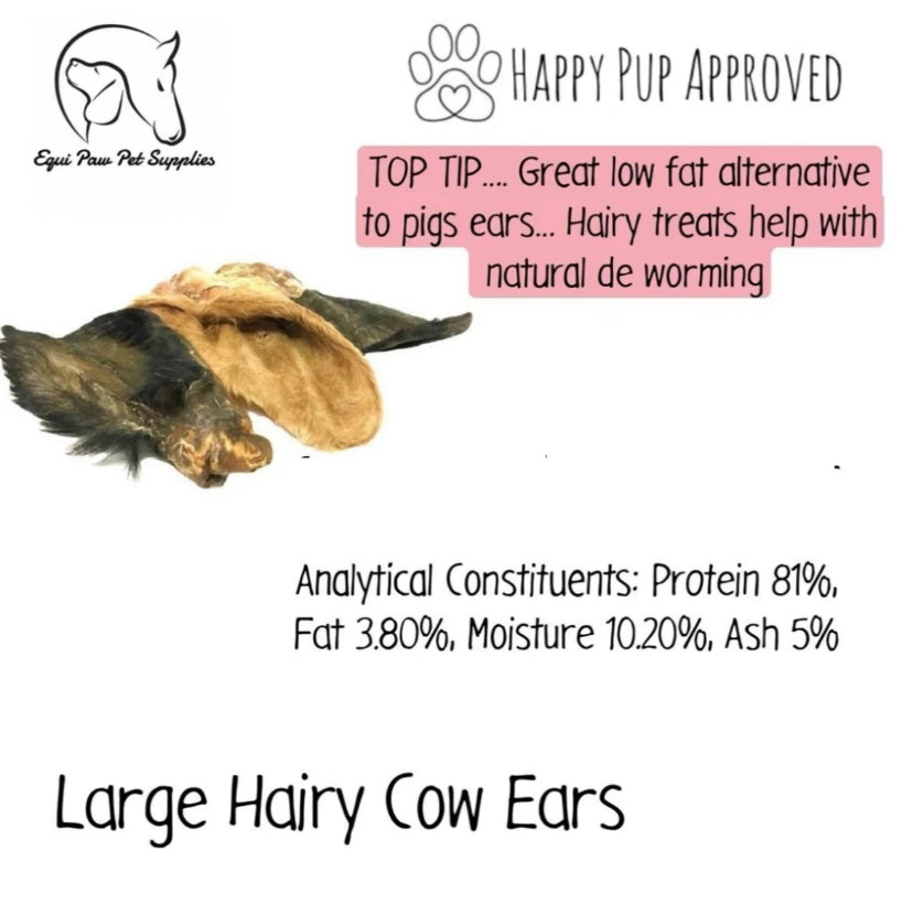 Large Hairy Cow Ears
