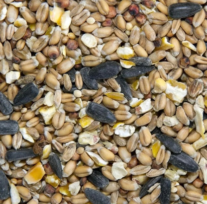 Wild Bird Super Pack
