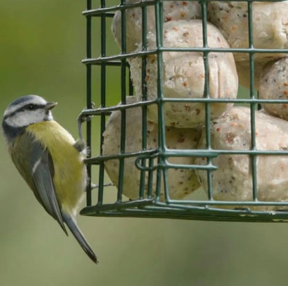 6 x Suet Balls - Wild Bird Feed