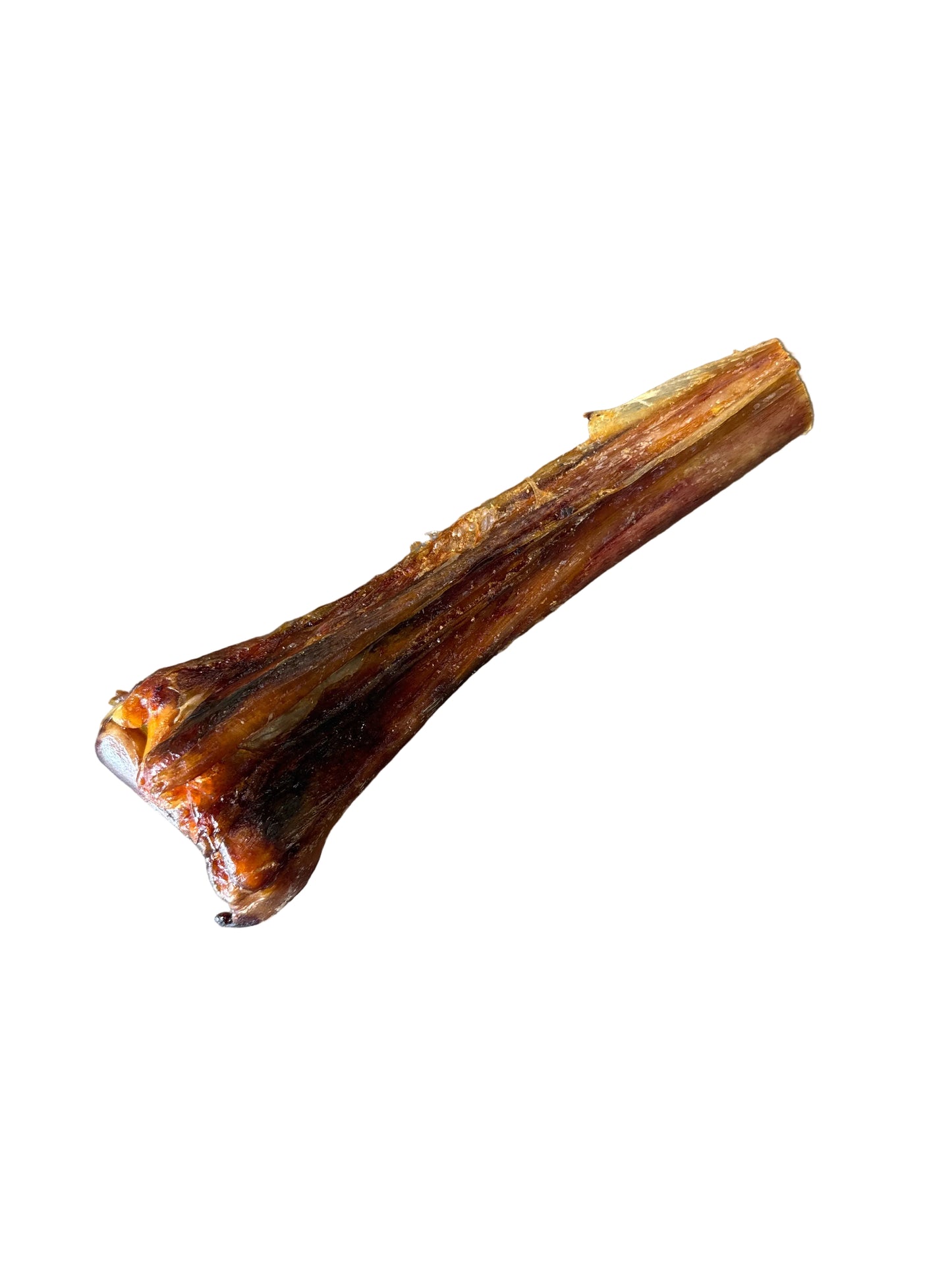 Ostrich Metatarsus Bone