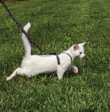 Petsafe Come with Me Kitty Harness & Bungee Leash Small