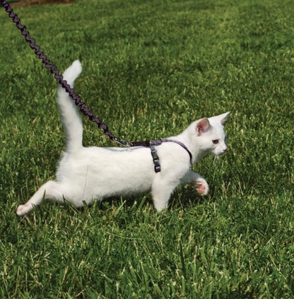 Petsafe Come with Me Kitty Harness & Bungee Leash Small
