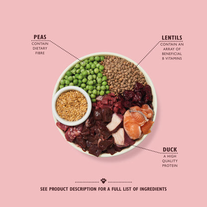 Lily’s Kitchen Wild Woodland Walk with Duck, Salmon & Venison Dog Food - Discounted Stock