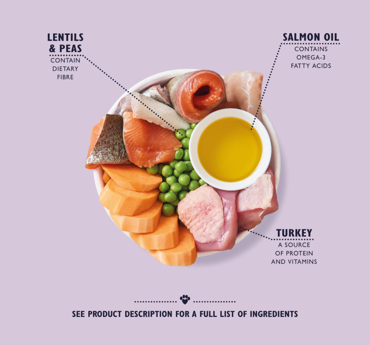 7KG Lily’s Kitchen Senior Recipe with Turkey, Trout & Seasonal White Fish Dog Food - Discounted Stock