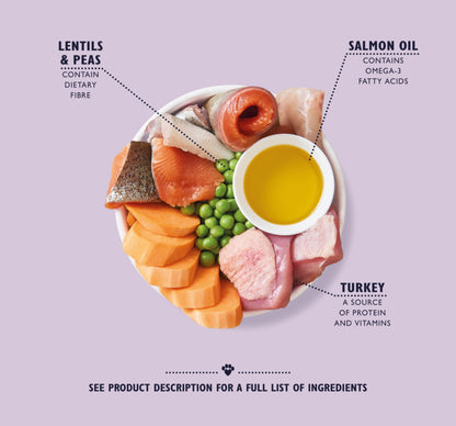 7KG Lily’s Kitchen Senior Recipe with Turkey, Trout & Seasonal White Fish Dog Food - Discounted Stock