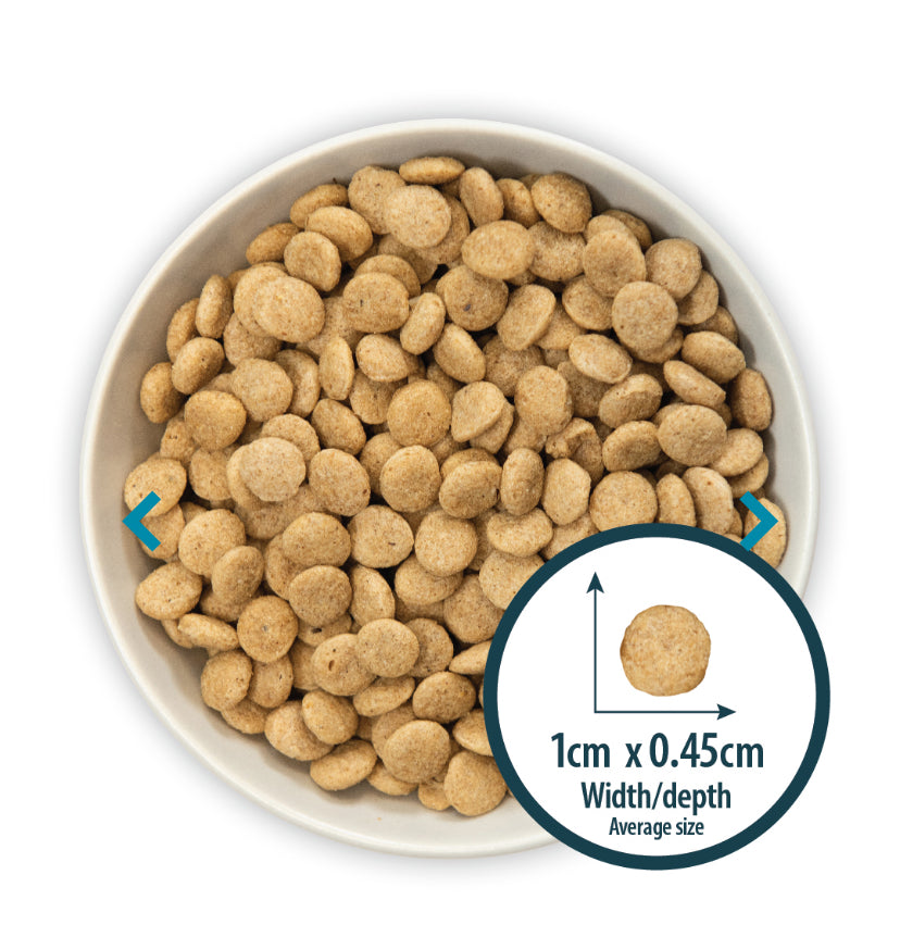 Burns Senior+ Toy & Small Breed
Chicken & Brown Rice - Discounted Stock 6KG