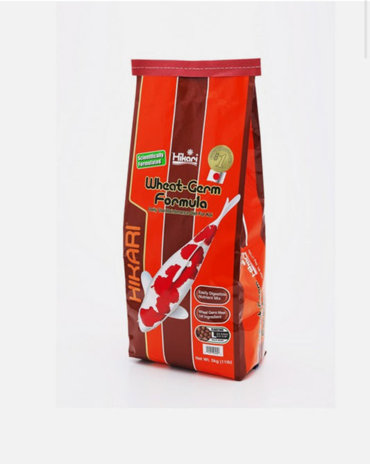 Hikari Wheat-Germ Formula Large [SNG] 5kg - Discounted stock