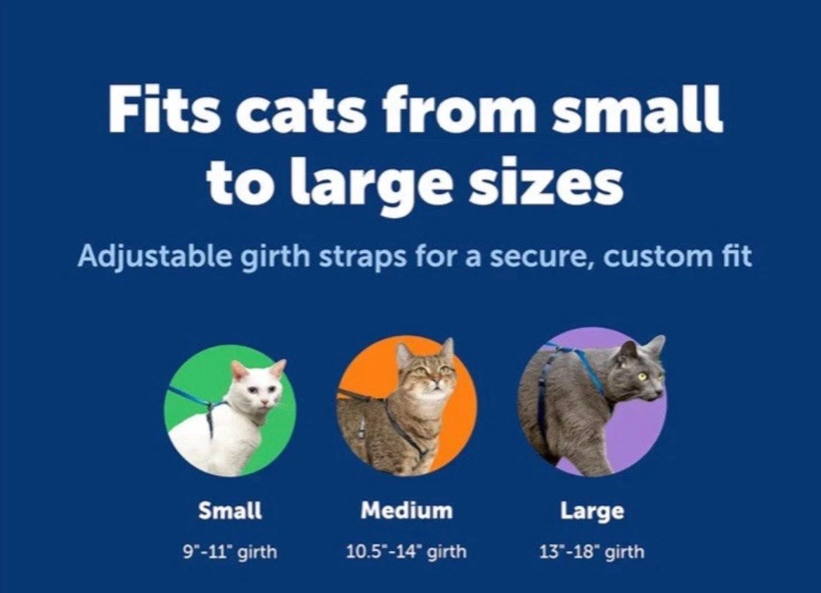 Petsafe Come with Me Kitty Harness & Bungee Leash Small