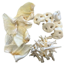 Puffed Selection Bundle