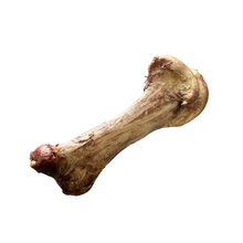 Ostrich bone