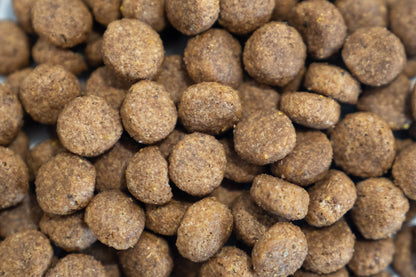12.5KG Dr John Hypoallergenic Duck and Salmon Dog Food - Discounted Stock