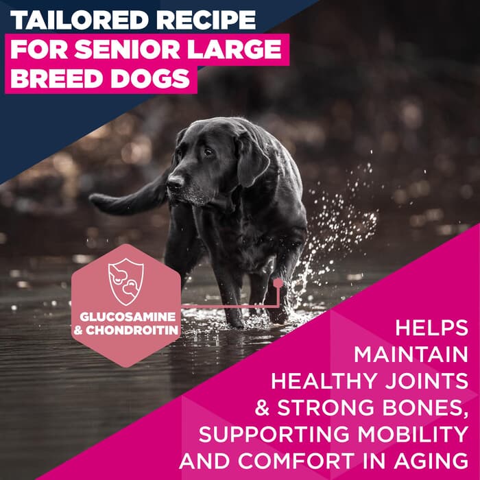 12KG Eukanuba Senior Large Breed Chicken Dog Food - Damaged Packaging