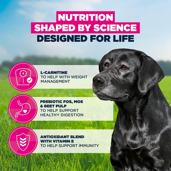 12KG Eukanuba Senior Large Breed Chicken Dog Food - Damaged Packaging