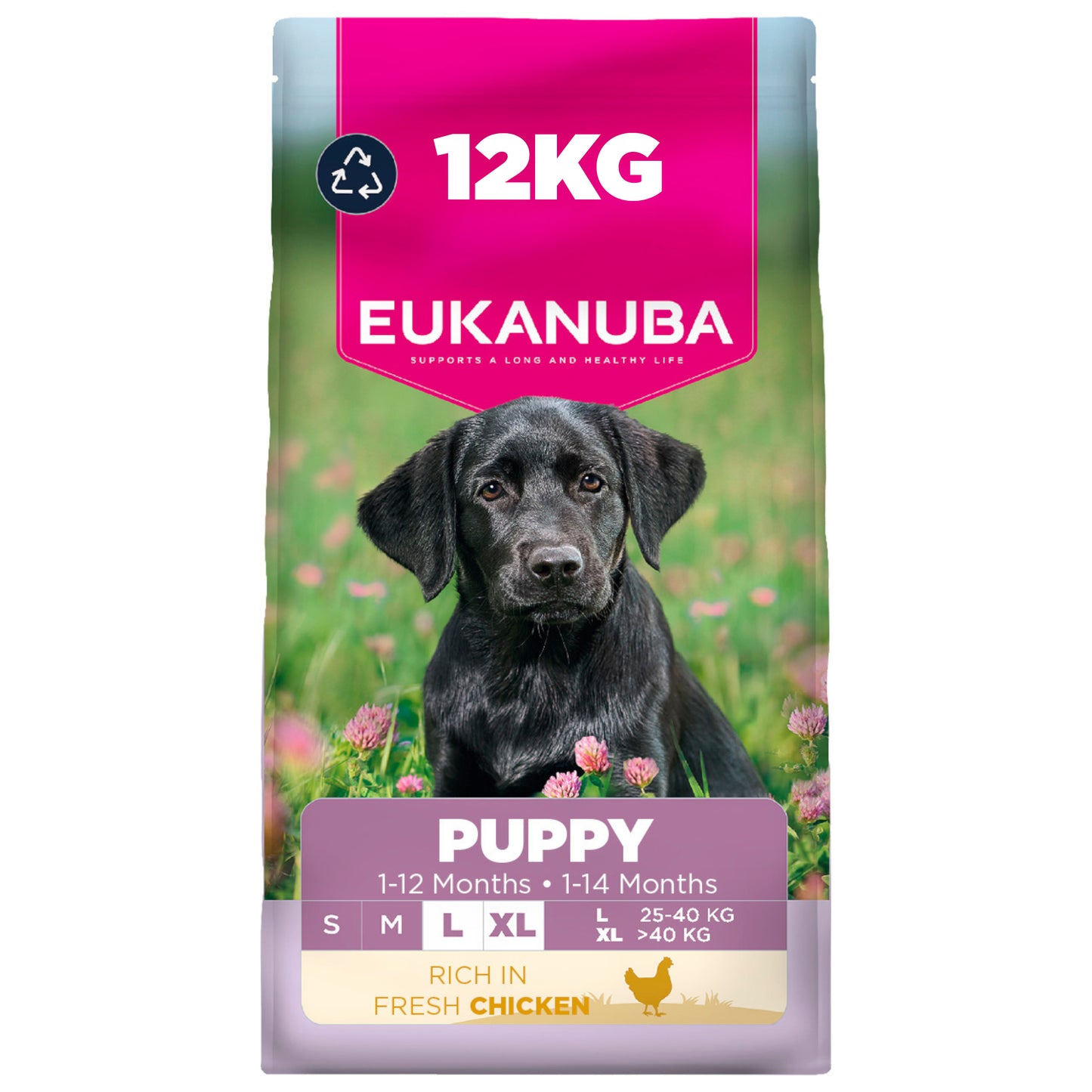 12KG Eukanuba Puppy L/XL Breed Chicken Dog Food - Discounted Stock (BBD OCT 25)