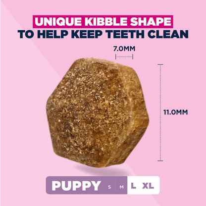 12KG Eukanuba Puppy L/XL Breed Chicken Dog Food - Discounted Stock (BBD OCT 25)