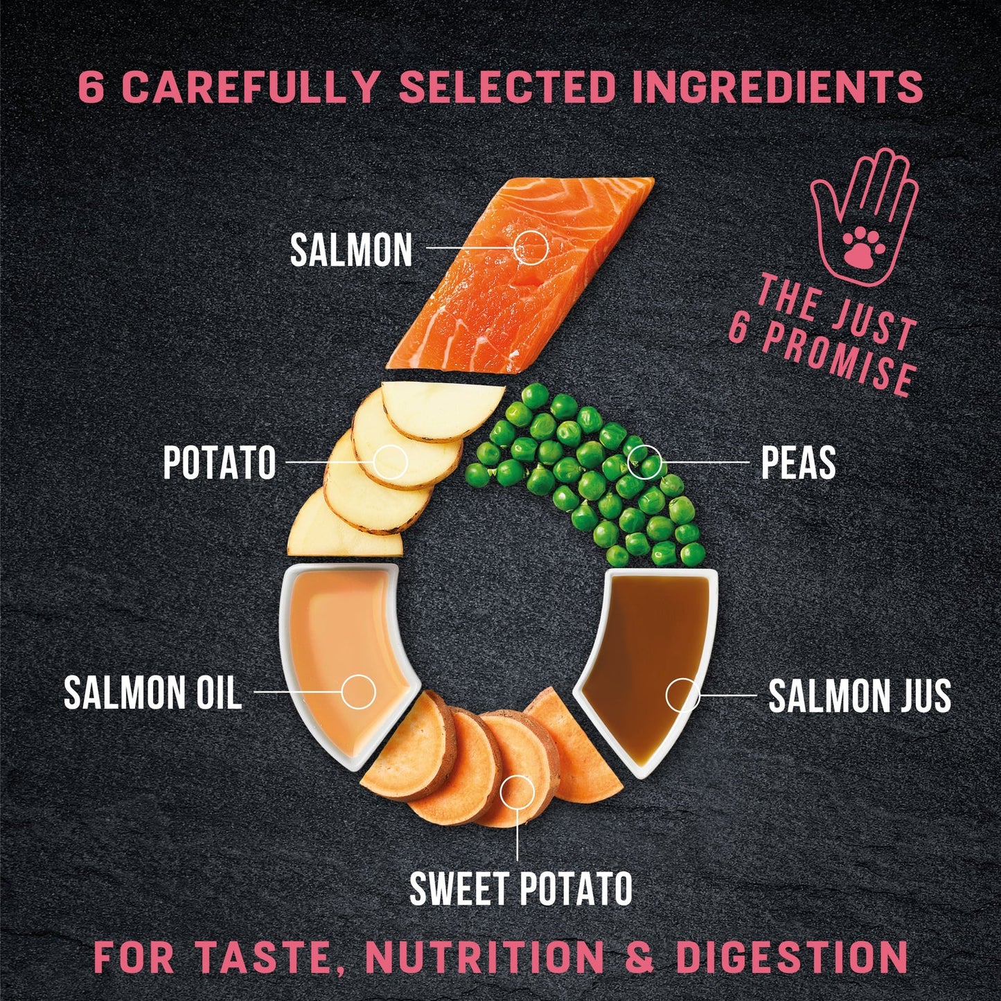 12KG Harringtons Just 6 Salmon & Veg Dog Food - Discounted Stock