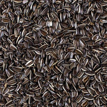 Striped Sunflower Seeds